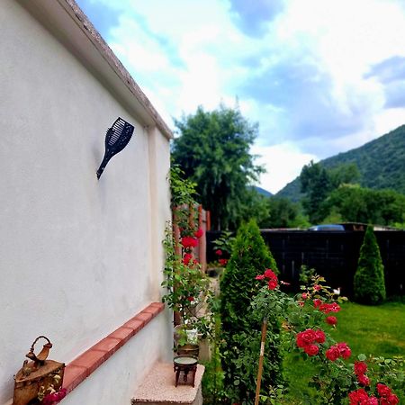 Renate House Hotel Băile Herculane Eksteriør billede