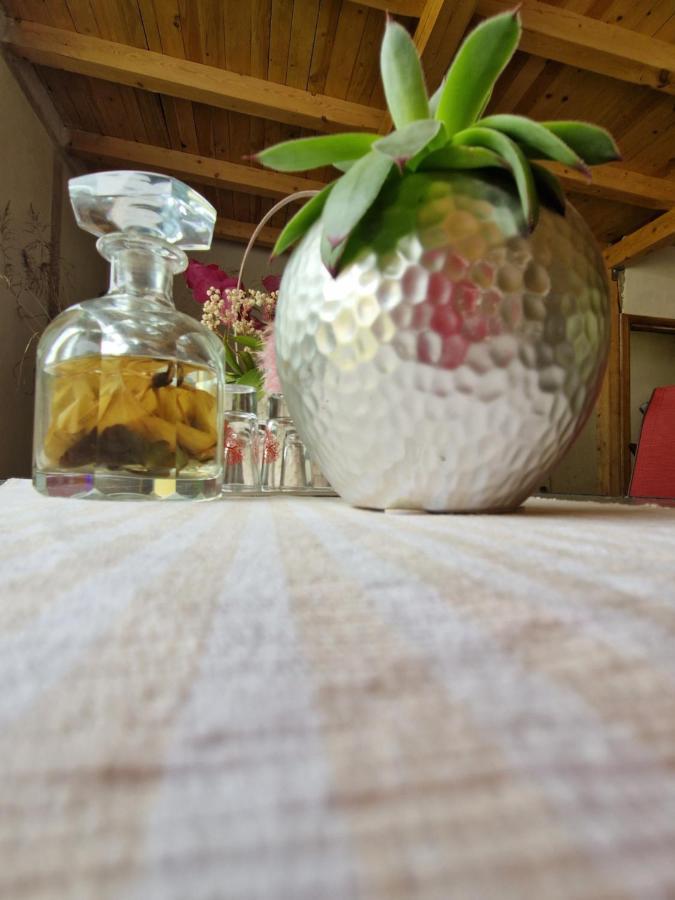 Renate House Hotel Băile Herculane Eksteriør billede