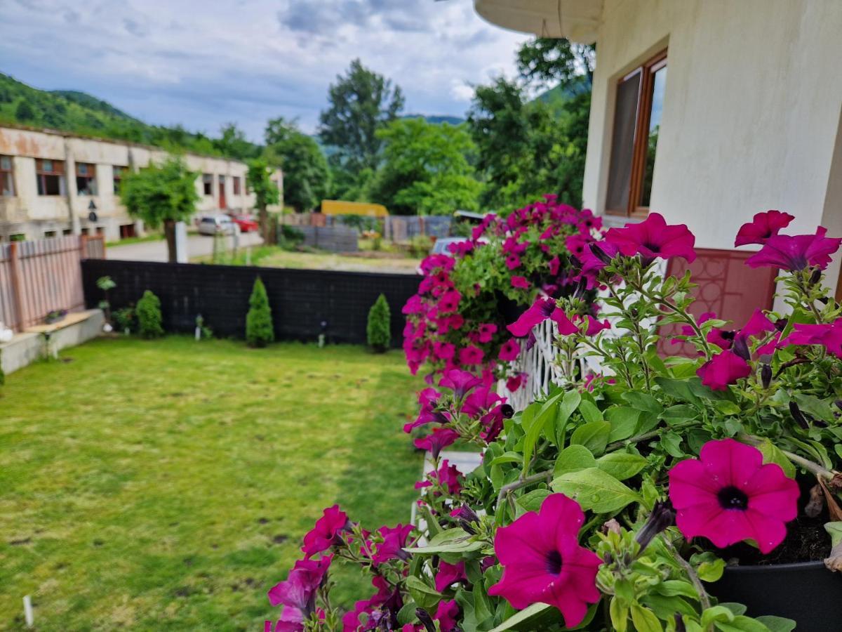 Renate House Hotel Băile Herculane Eksteriør billede