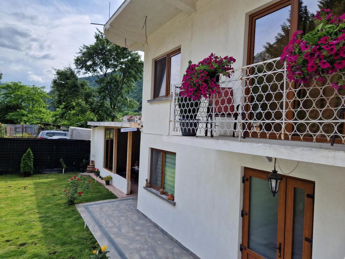 Renate House Hotel Băile Herculane Eksteriør billede