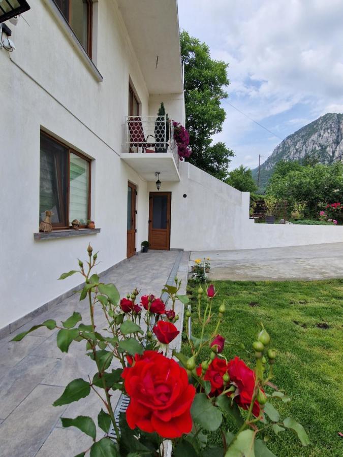 Renate House Hotel Băile Herculane Eksteriør billede