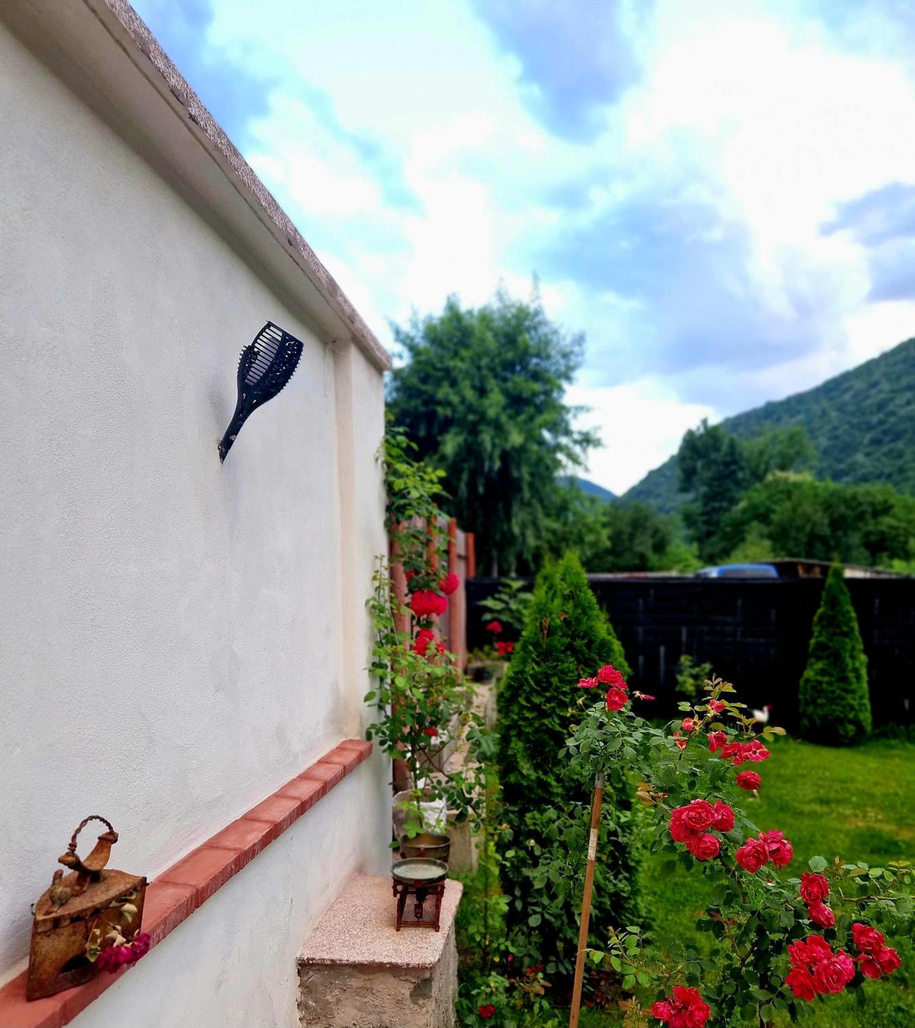 Renate House Hotel Băile Herculane Eksteriør billede